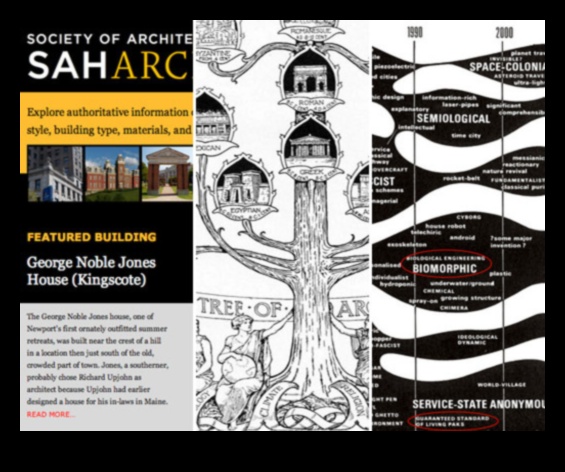 Arhitectul digital: construirea bazelor pentru triumful algoritmic