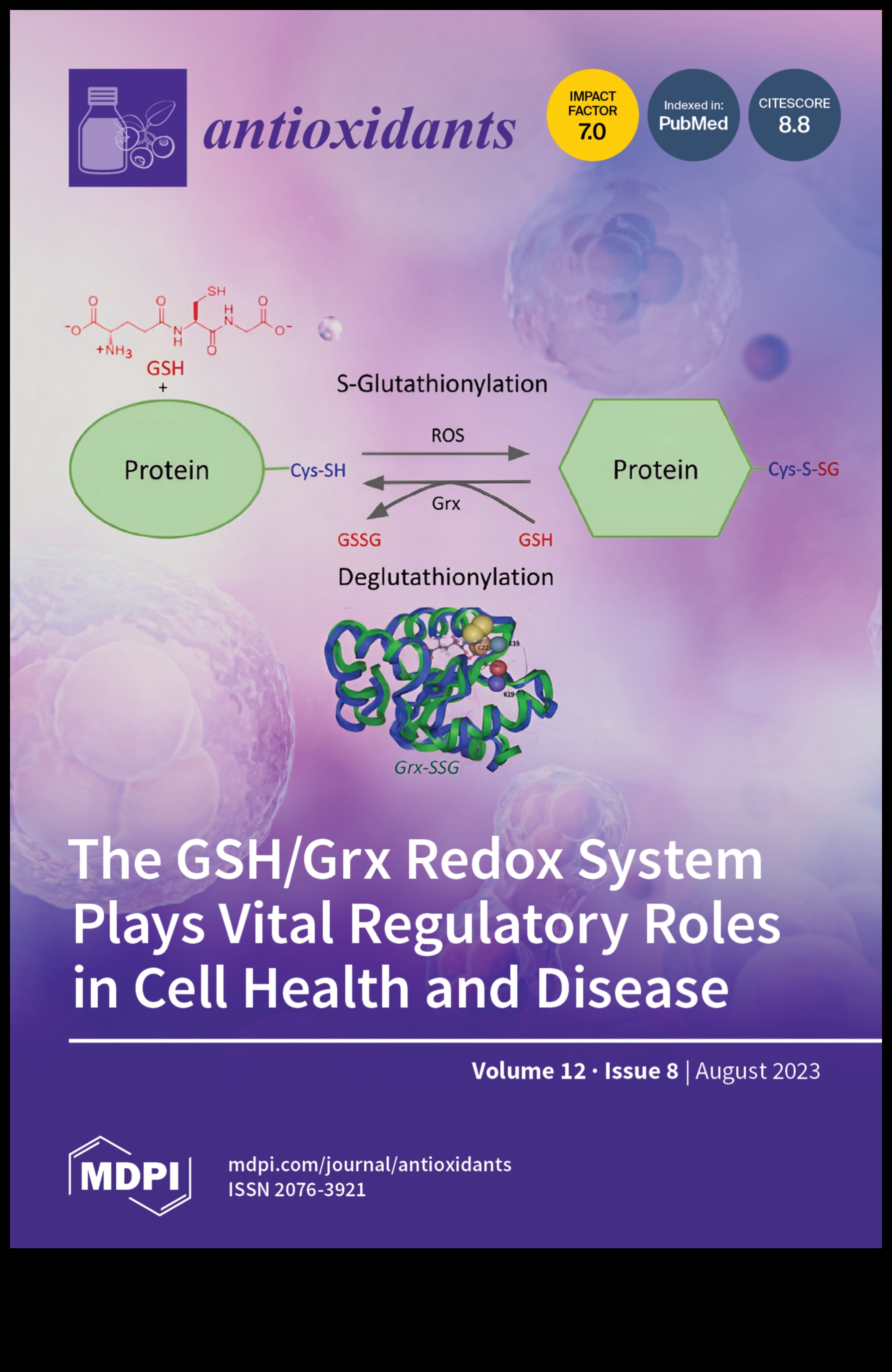 Antioxidanții au dezvăluit cheia pentru deblocarea performanței de vârf 5 Antioxidanții dezvăluiți: dezvăluirea secretelor performanței de vârf