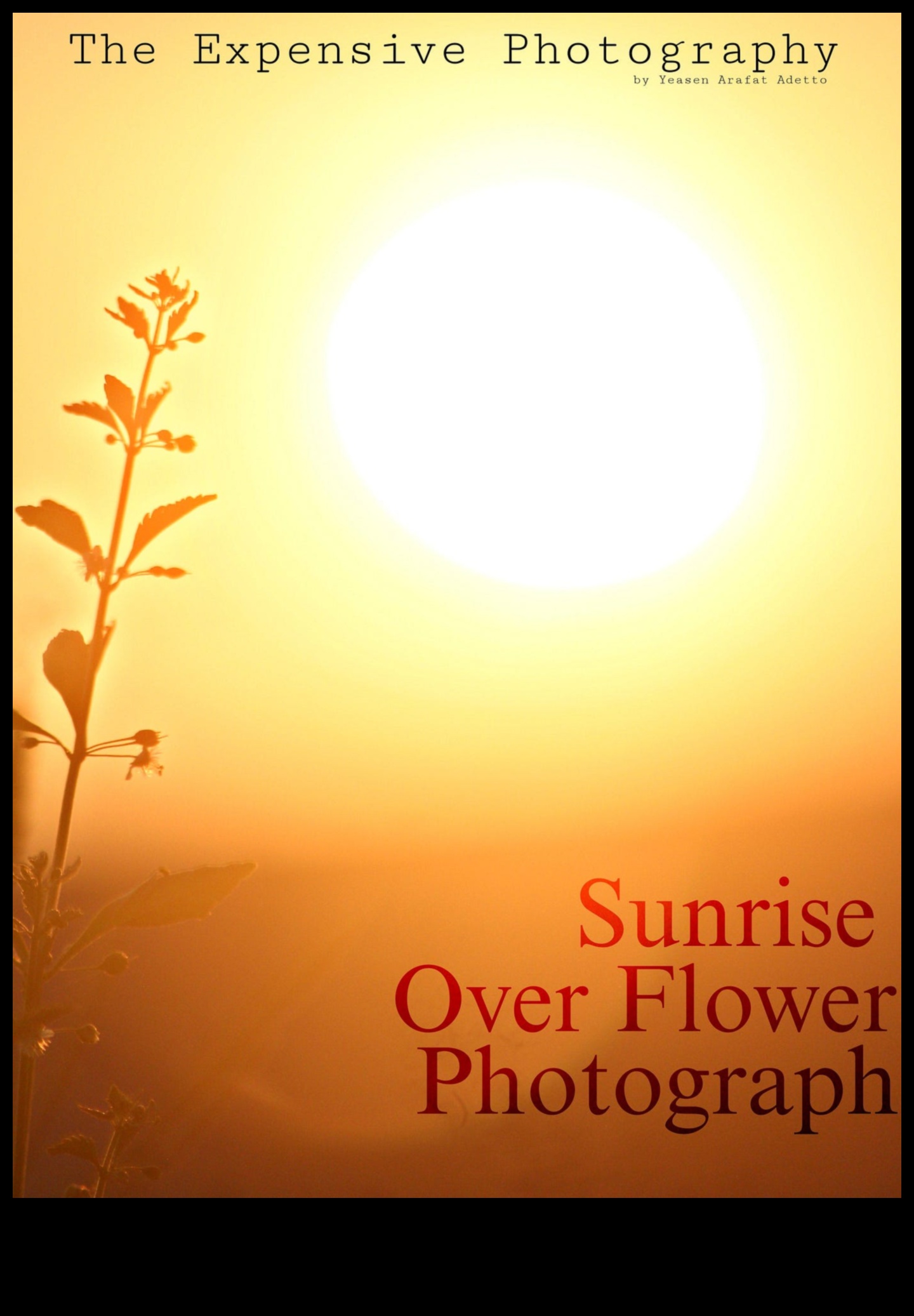 Surprindeți magia liniștii răsăritului cu aceste sfaturi pentru fotografierea dimineții devreme 2 Sunrise Serenity: Stăpânirea tehnicilor pentru fotografia de dimineață devreme