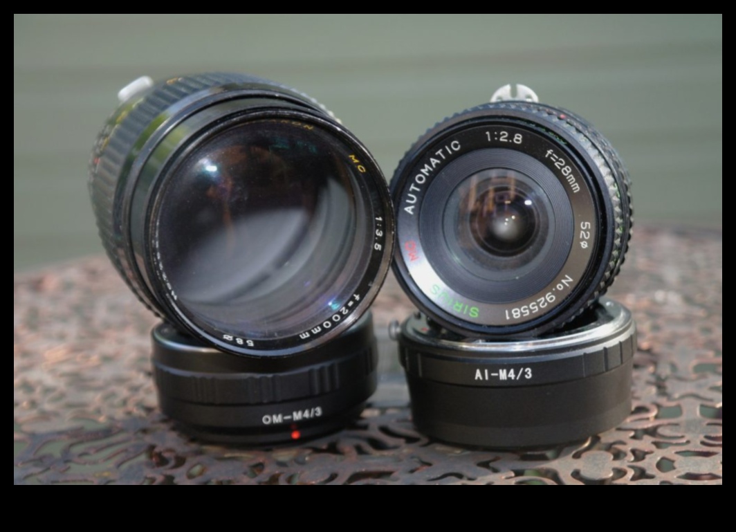 Lens Legacy Educație avansată în fotografie pentru fotograful modern 3 Lens Legacy: Crearea excelenței prin educație avansată în fotografie