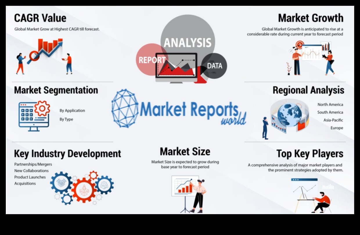 Dinastia digitală: navigarea pe tărâmul online al modei