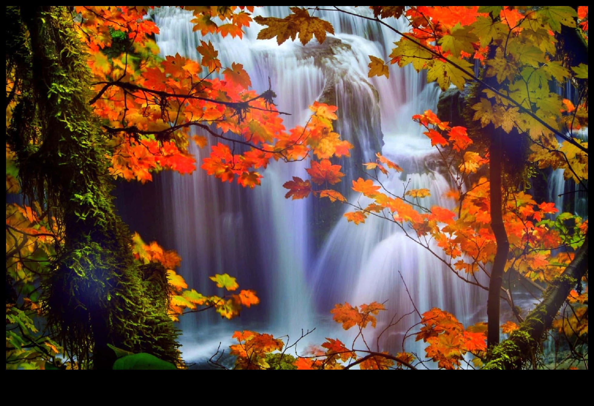 Aurele de toamnă îmbrățișează căldura toamnei cu fotografii de sezon 2 Aure de toamnă: surprindeți căldura toamnei cu stiluri de fotografie sezoniere