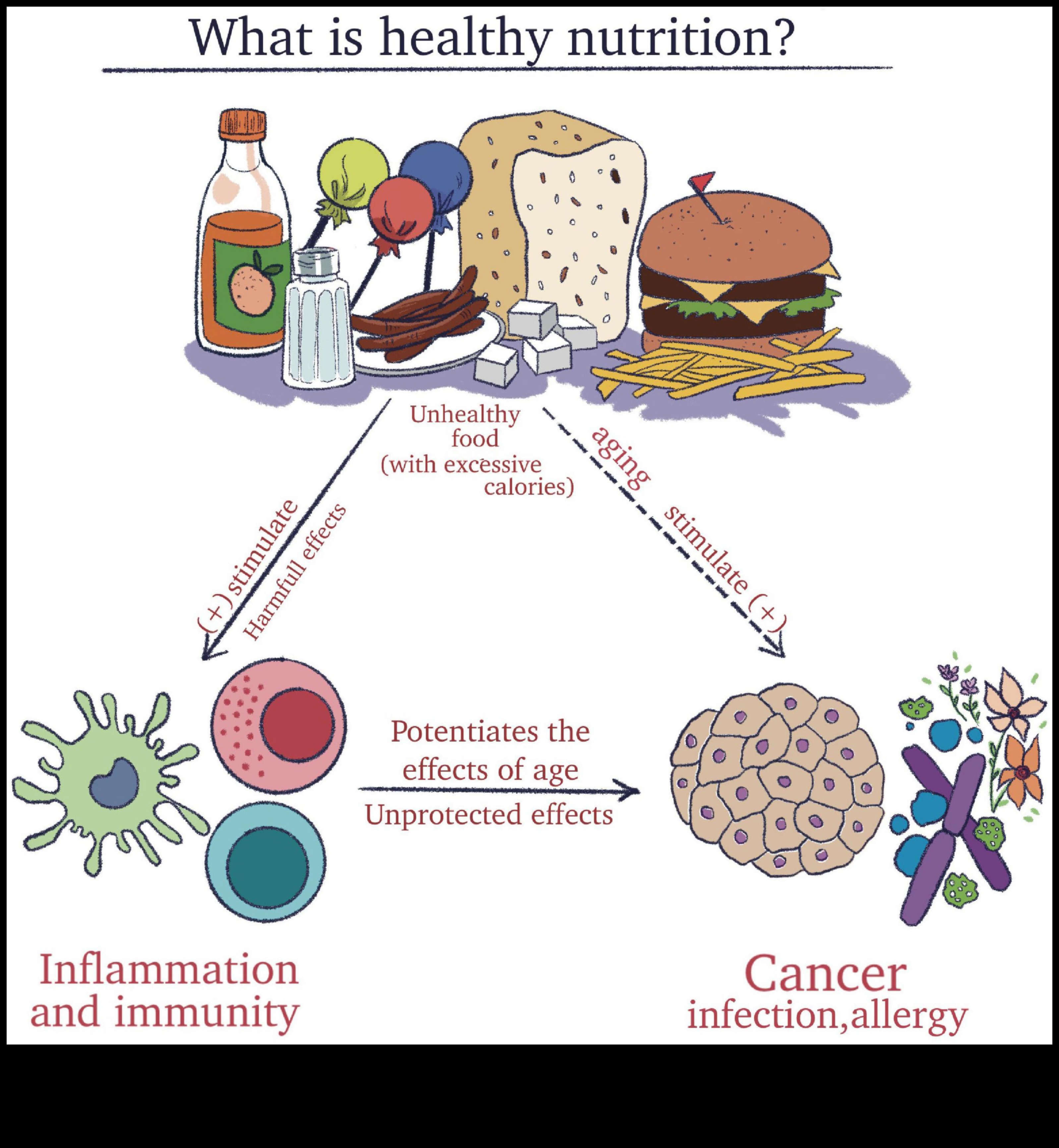Echilibrul biochimic: cheia sănătății nutriționale optime