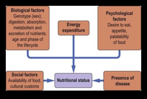 Echilibrul biochimic: cheia sănătății nutriționale optime