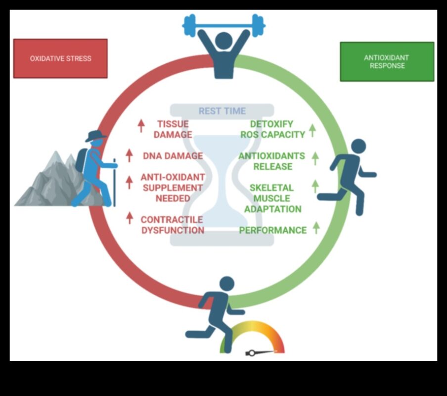 Antioxidanții dezvăluiți: dezvăluirea secretelor performanței de vârf