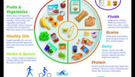 Farfuria echilibrată: un ghid pentru elementele esențiale ale nutriției geriatrice