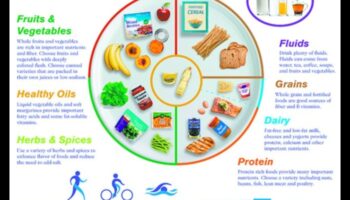 Farfuria echilibrată: un ghid pentru elementele esențiale ale nutriției geriatrice