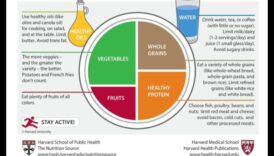 Placa echilibrată: Nutriție geriatrică pentru o viață sănătoasă