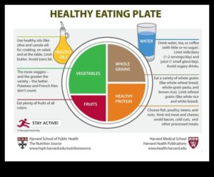 Placa echilibrată: Nutriție geriatrică pentru o viață sănătoasă
