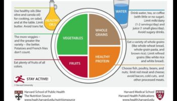 Placa echilibrată: Nutriție geriatrică pentru o viață sănătoasă