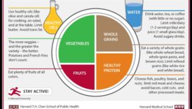 Farfuria echilibrată: un ghid pentru succesul nutriției geriatrice