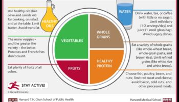 Farfuria echilibrată: un ghid pentru succesul nutriției geriatrice