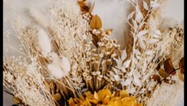 Flori trecătoare Un dascal intre captarea frumuseții trecătoare a florilor 2 Flori trecătoare: stăpânirea tehnicilor pentru a capta frumusețea trecătoare a florilor