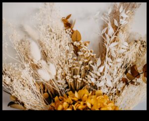 Flori trecătoare: stăpânirea tehnicilor pentru a capta frumusețea trecătoare a florilor