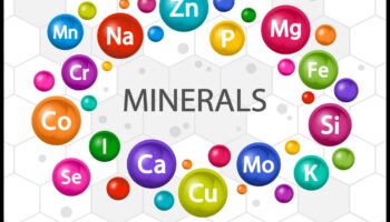 Mineral Symphony: Orchestrarea sănătății prin elemente esențiale