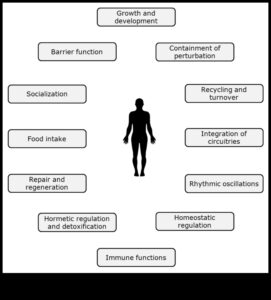 Echilibrul biochimic: cheia sănătății nutriționale optime